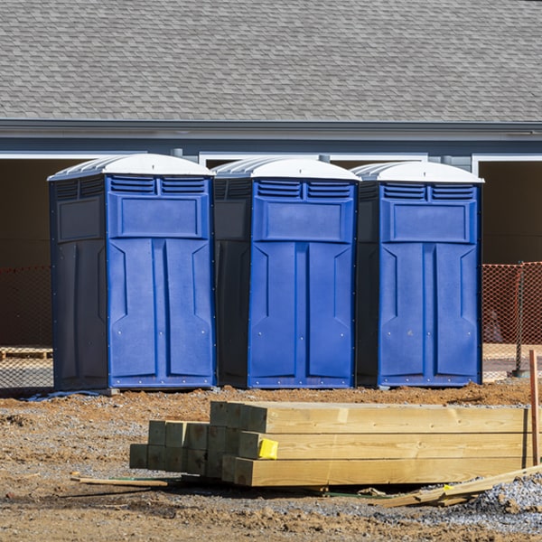 how can i report damages or issues with the portable toilets during my rental period in Albion IL